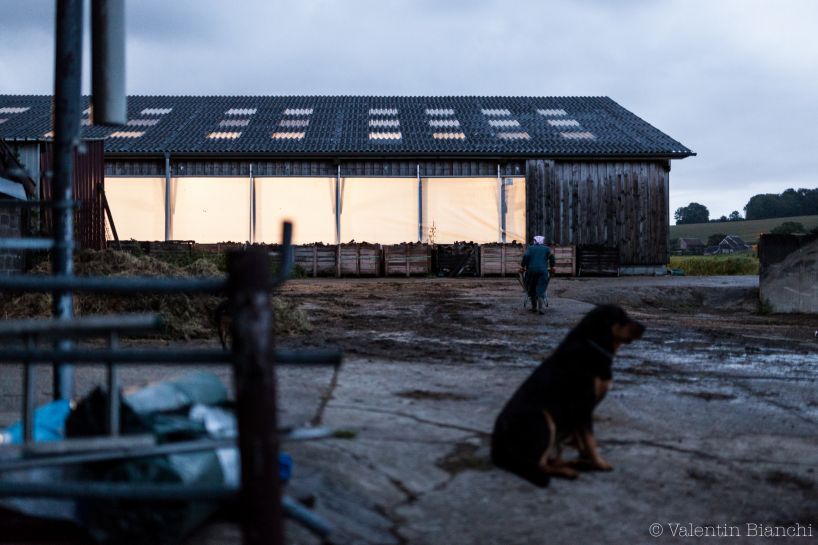 Early morning in a farm located in Hombourg, Belgium. The mother of Christian Lenoir needs to help her son for the daily work. September 6th, 2015. © Valentin Bianchi