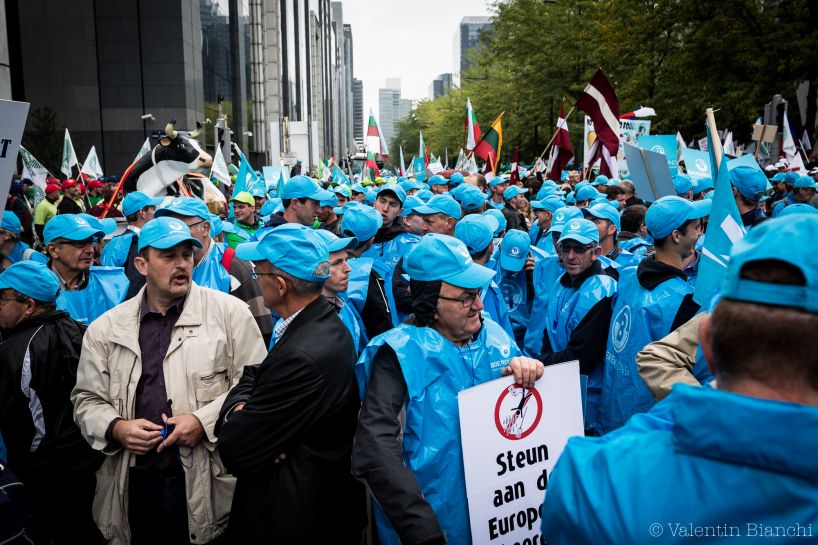 Thousands of European farmers have converged to Brussels for the event to protest against falling prices. Here, farmers from BoerenBond wait the start of the protest. September 7th, 2015. © Valentin Bianchi